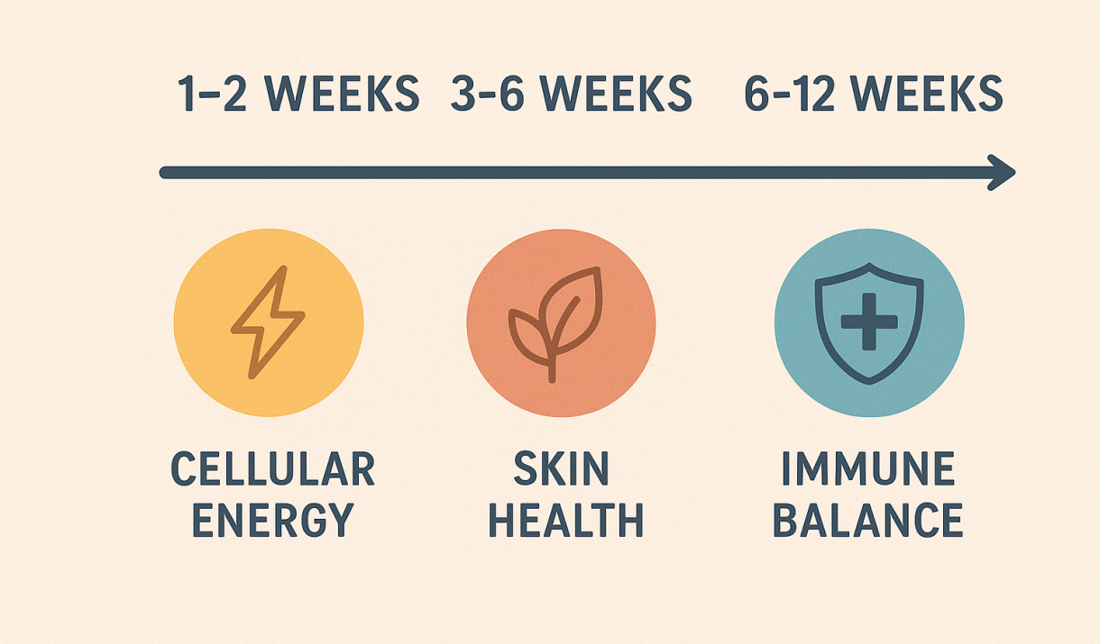 Timeline illustration showing 1–2 week cellular energy improvement, 3–6 week skin health benefits, and 6–12 week immune balance